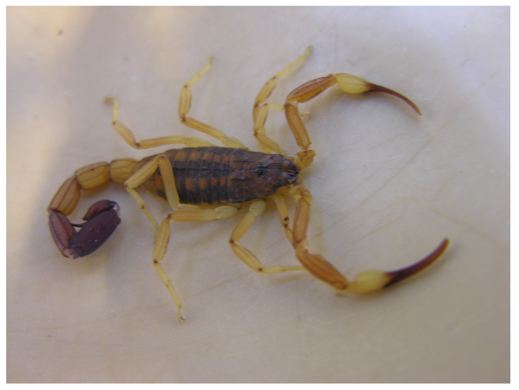 Toxins 06 01434 g002 1024