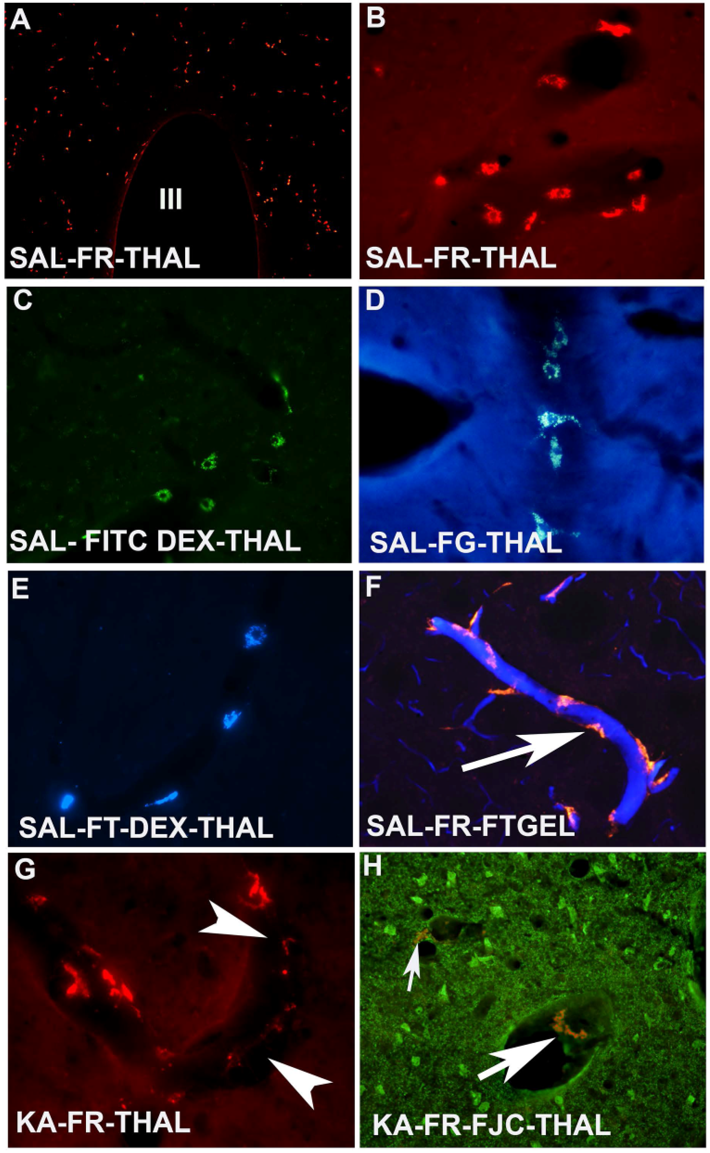 Toxins 06 01453 g001