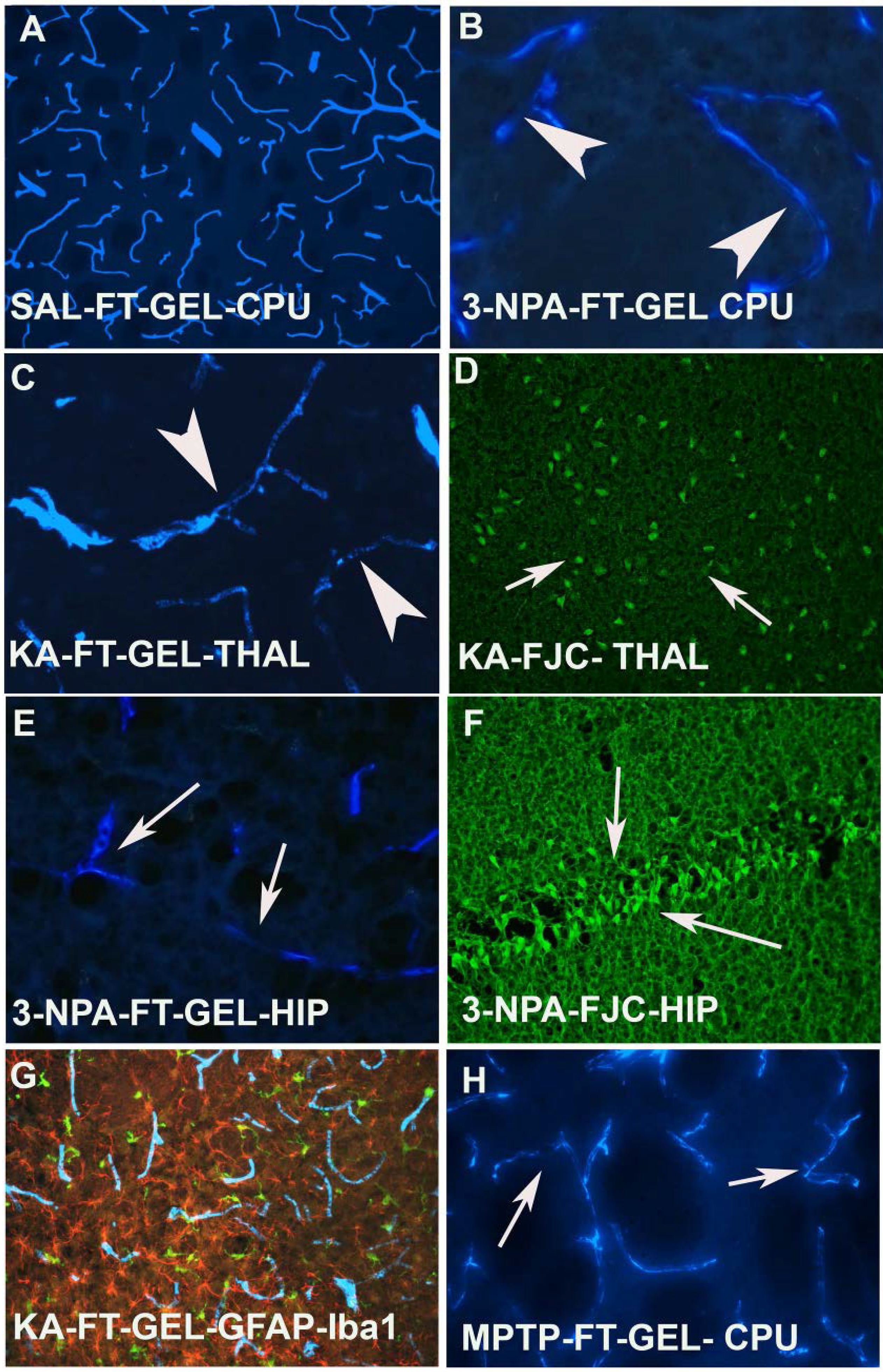 Toxins 06 01453 g002