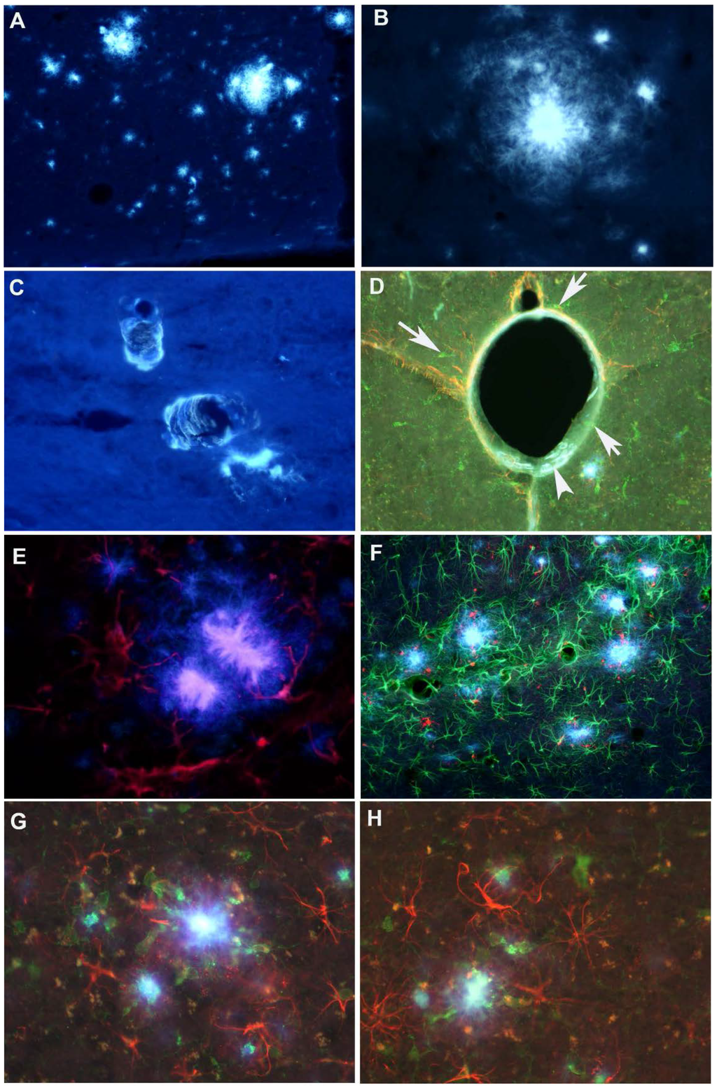 Toxins 06 01453 g004 1024