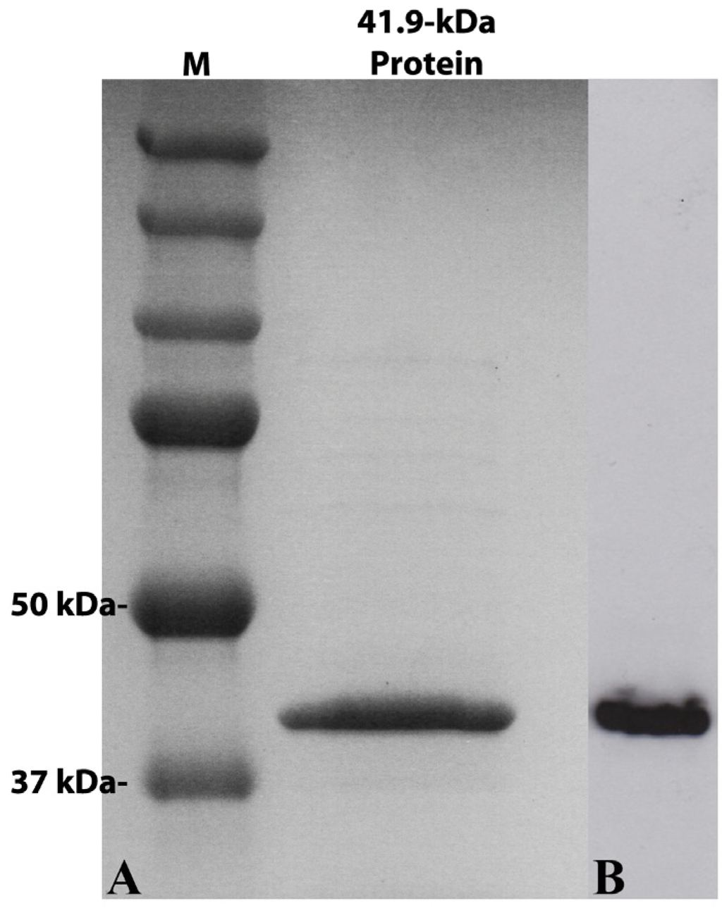 Toxins 06 01490 g002 1024