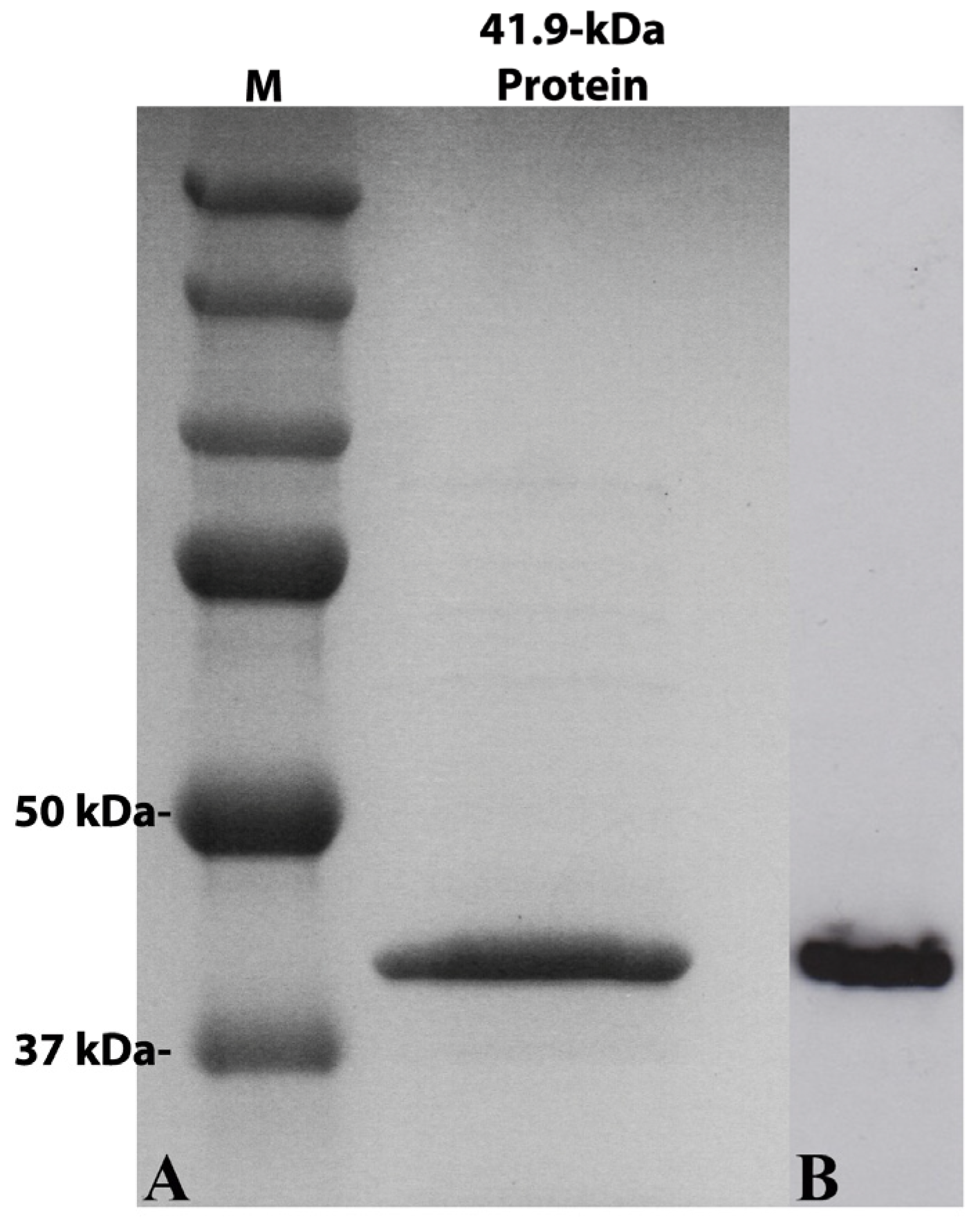Toxins 06 01490 g002