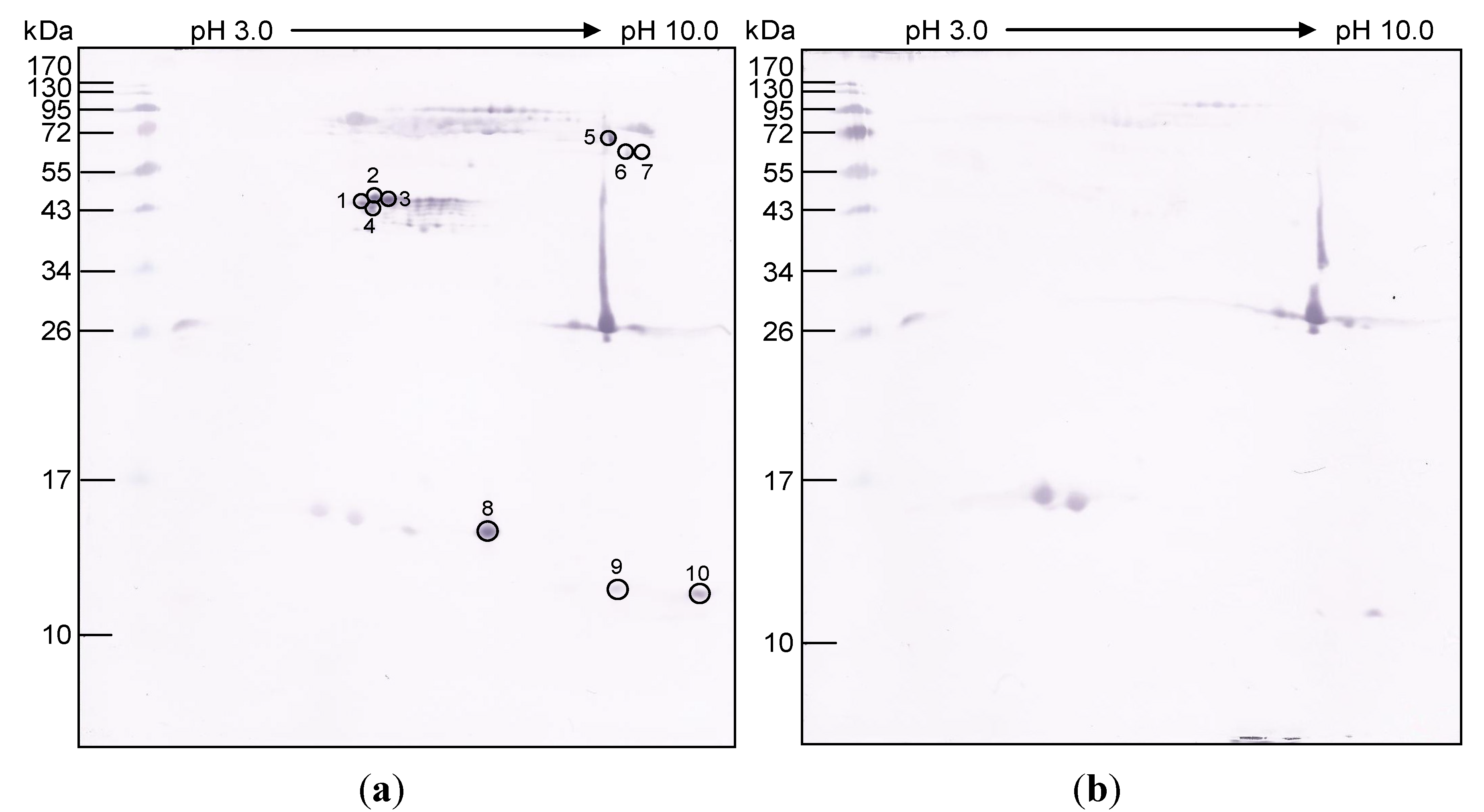 Toxins 06 01526 g003