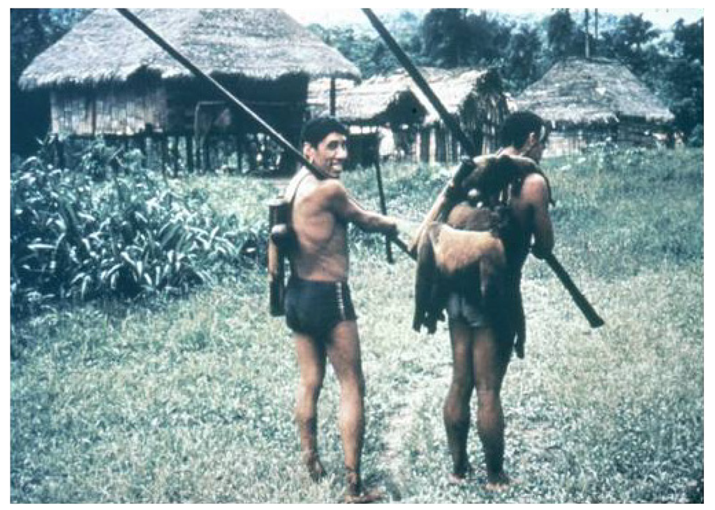 Toxins 06 01667 g006 1024