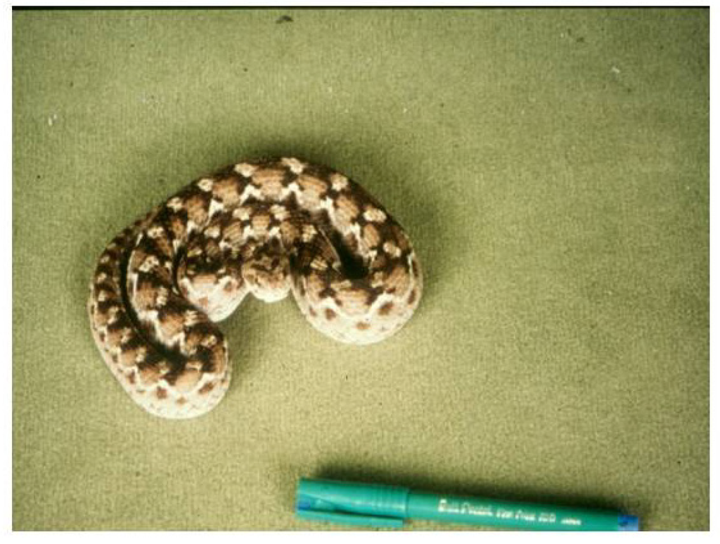 Toxins 06 01667 g011 1024