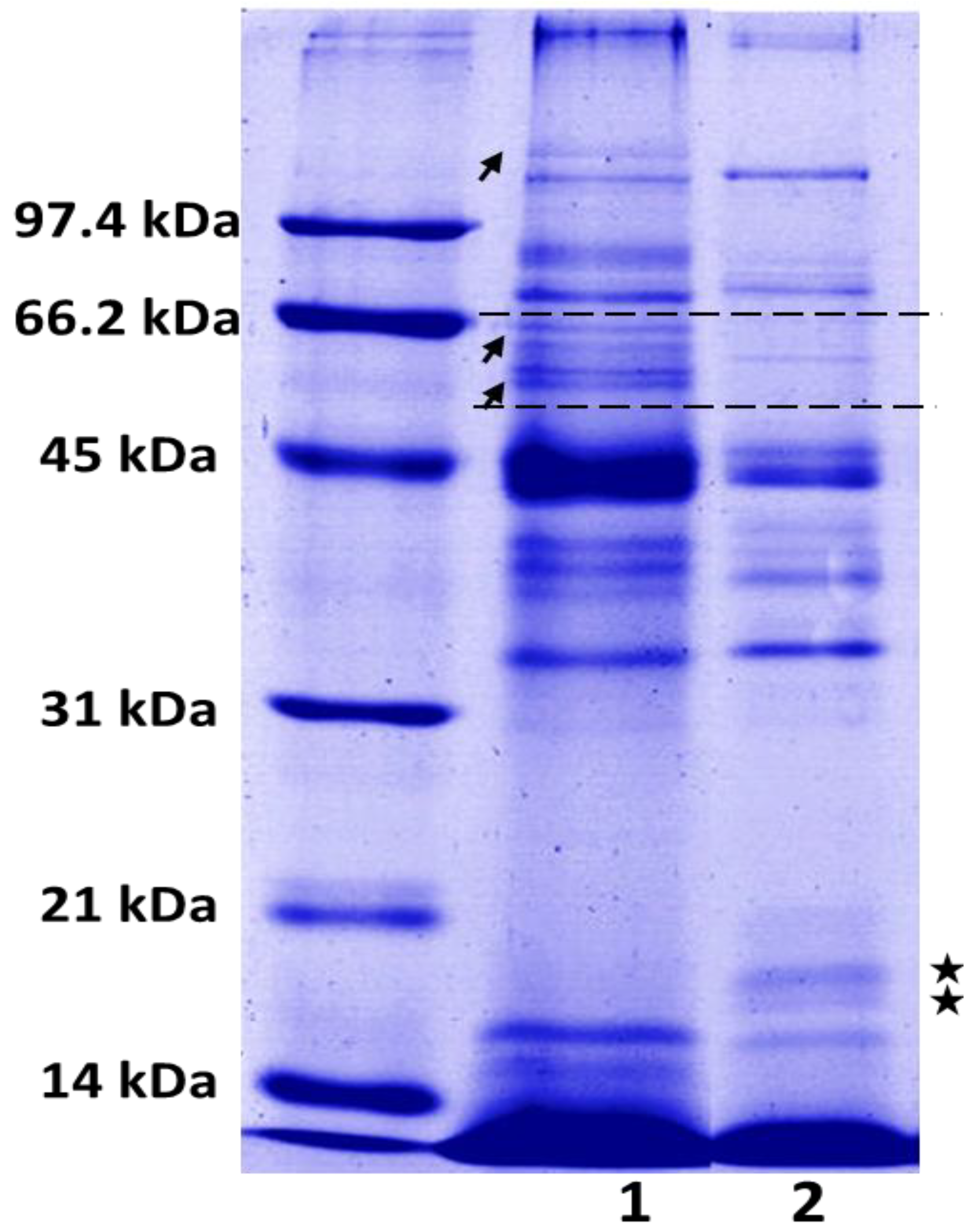 Toxins 06 02082 g002