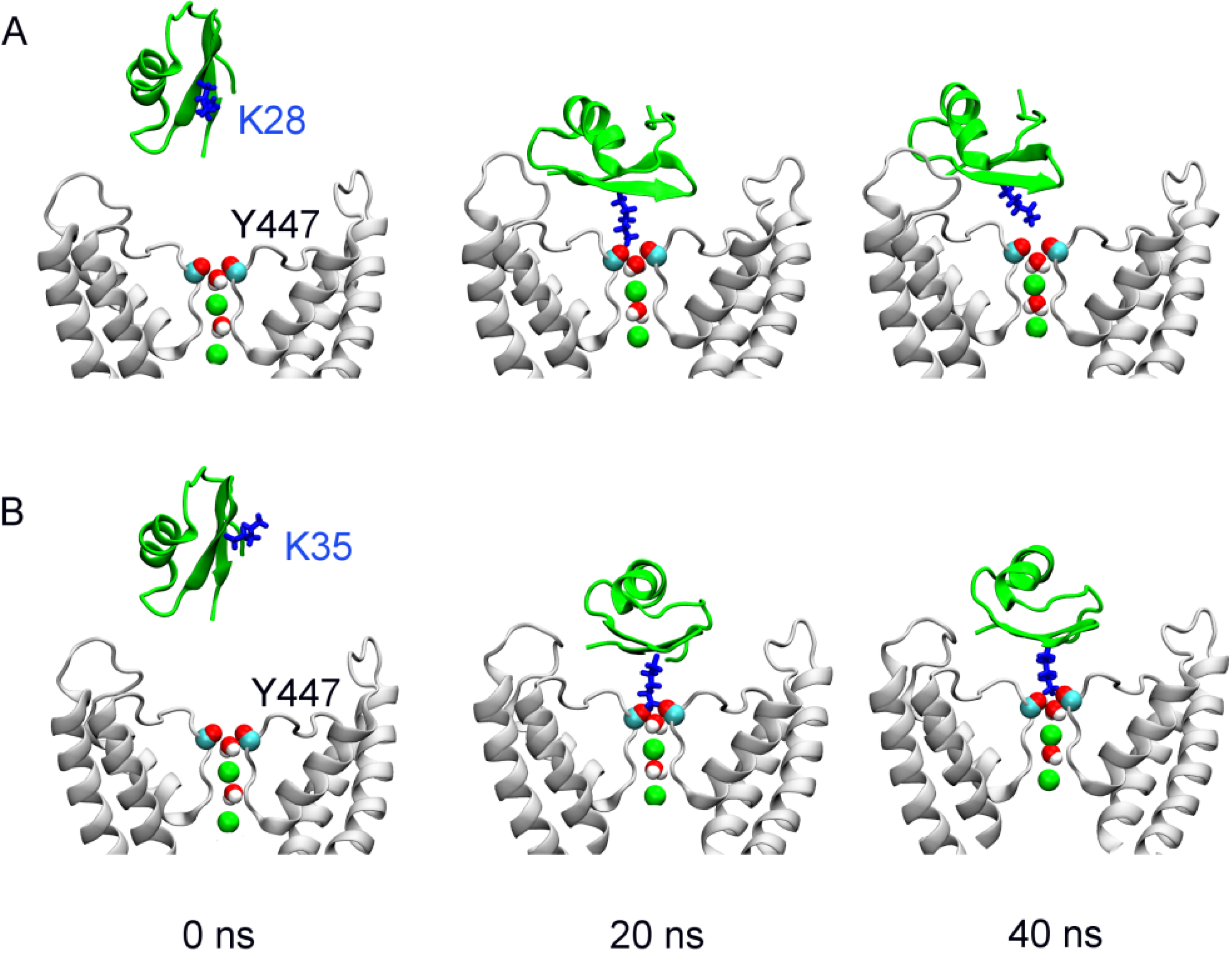 Toxins 06 02149 g001