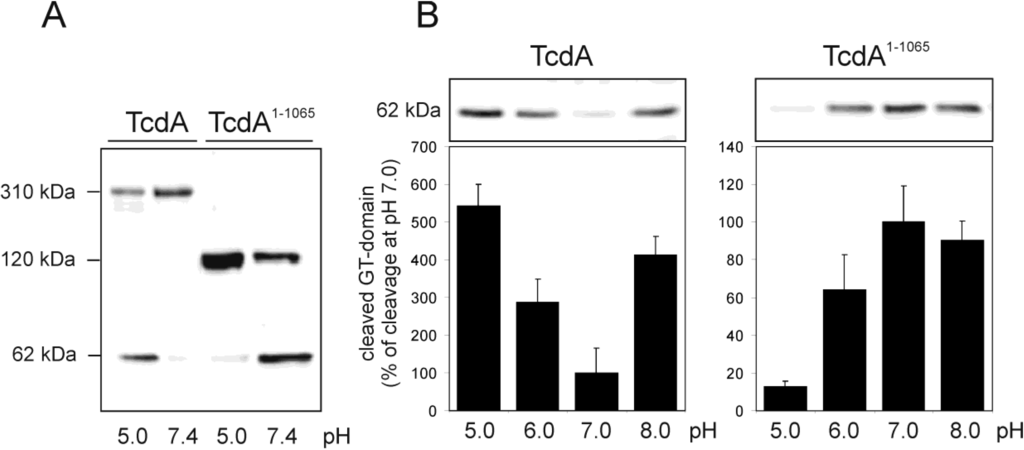 Toxins 06 02162 g001 1024
