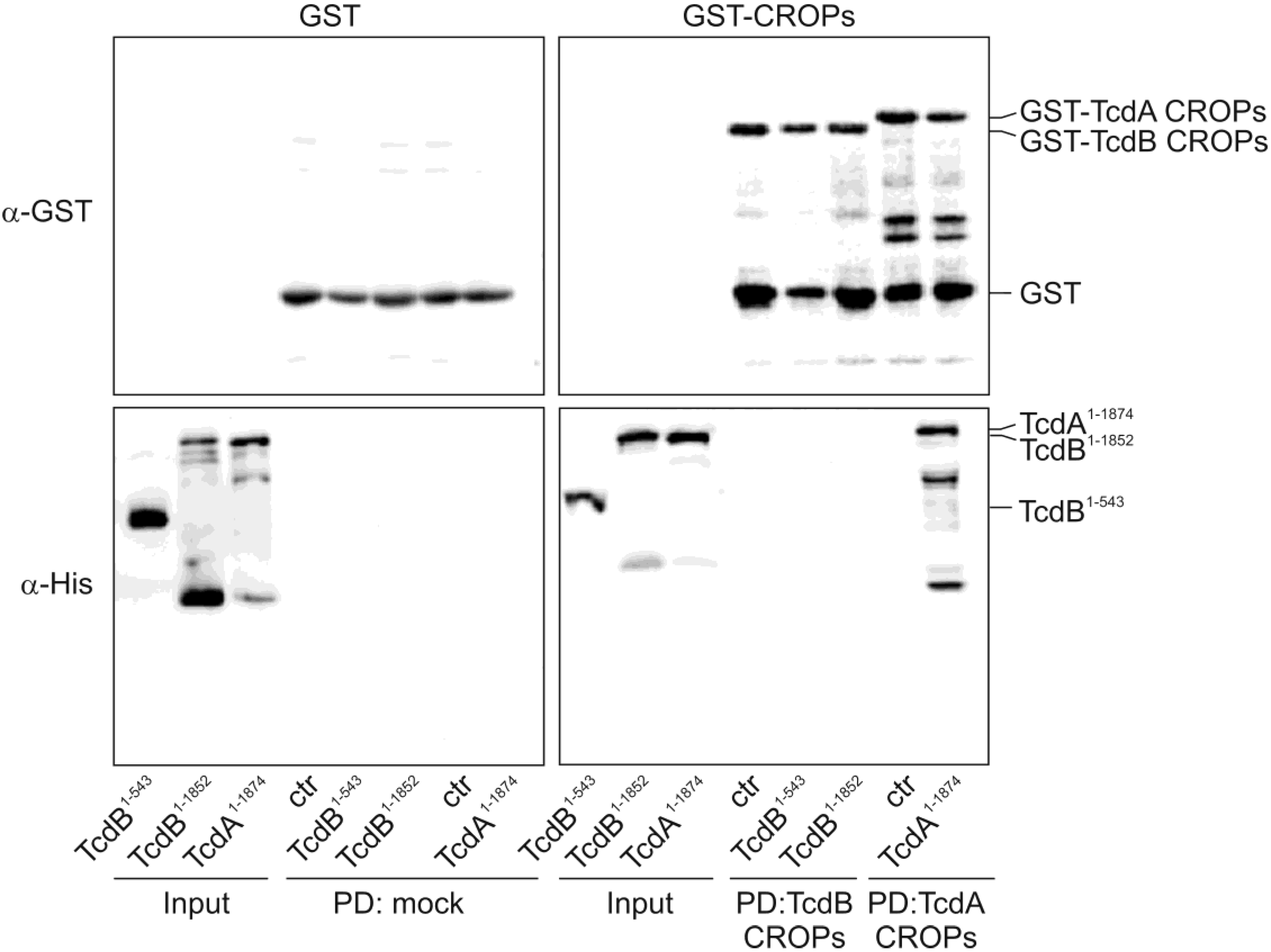 Toxins 06 02162 g005