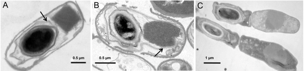 Toxins 06 02194 g001 1024