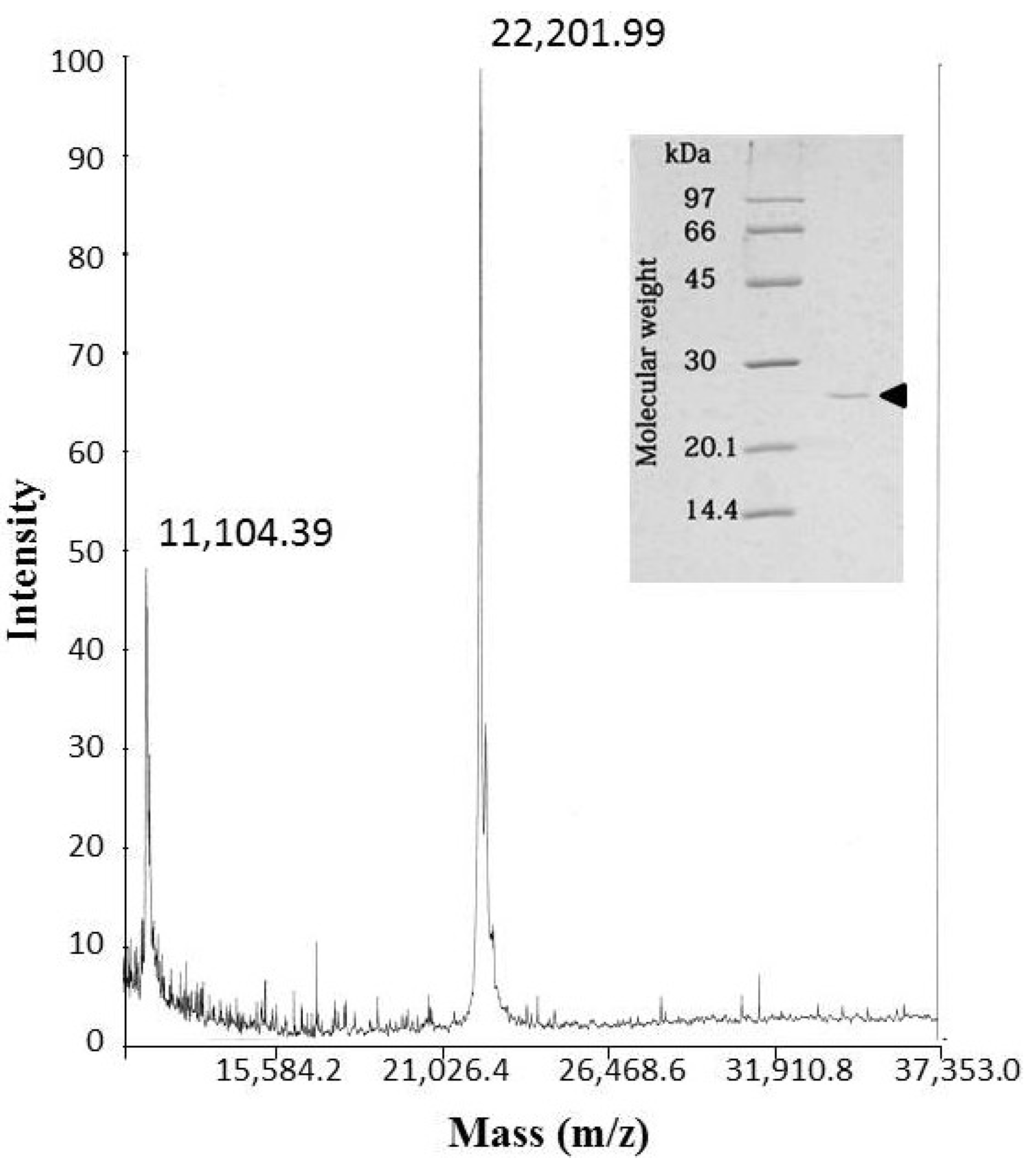 Toxins 06 02594 g002 1024