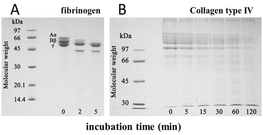 Toxins 06 02594 g004 1024