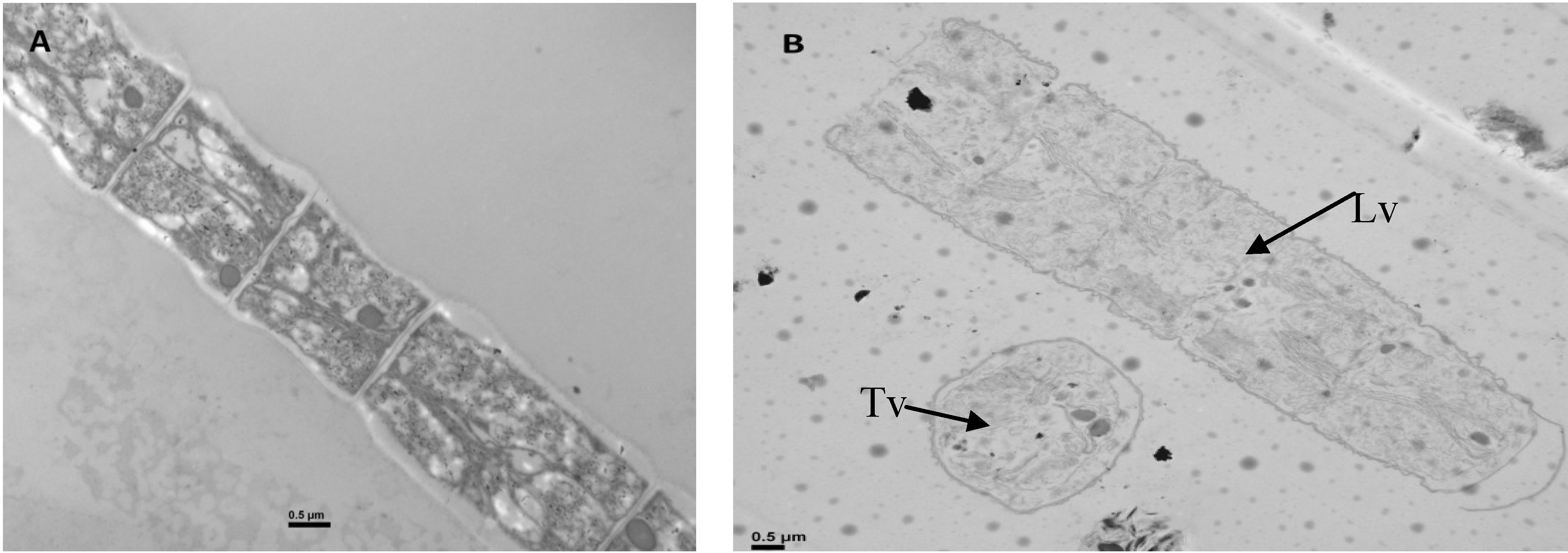 Toxins 06 02657 g005
