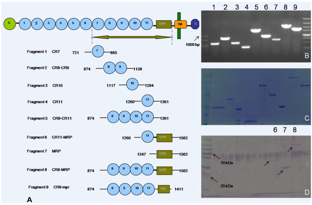 Toxins 06 02676 g002 1024