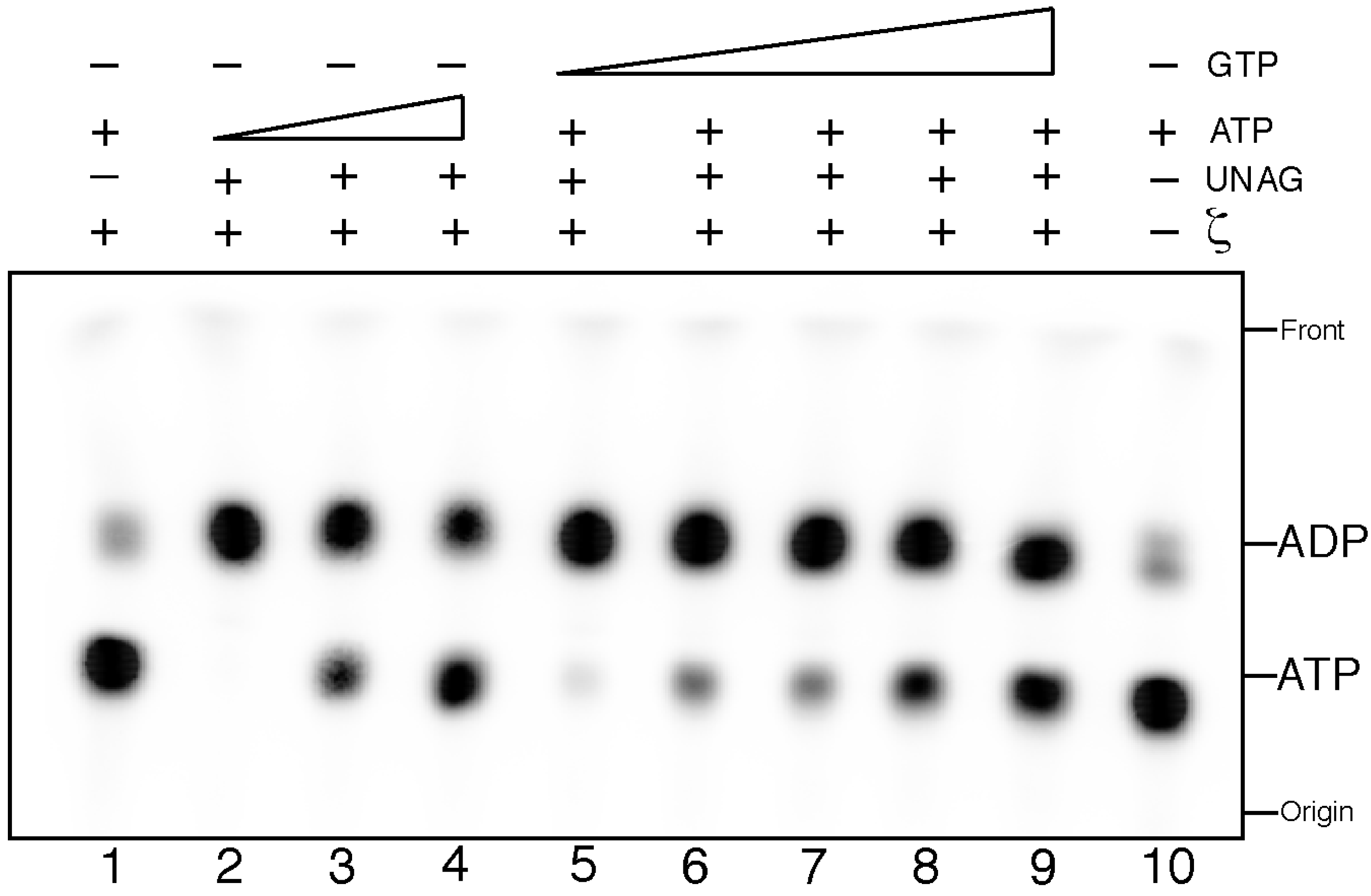 Toxins 06 02787 g001