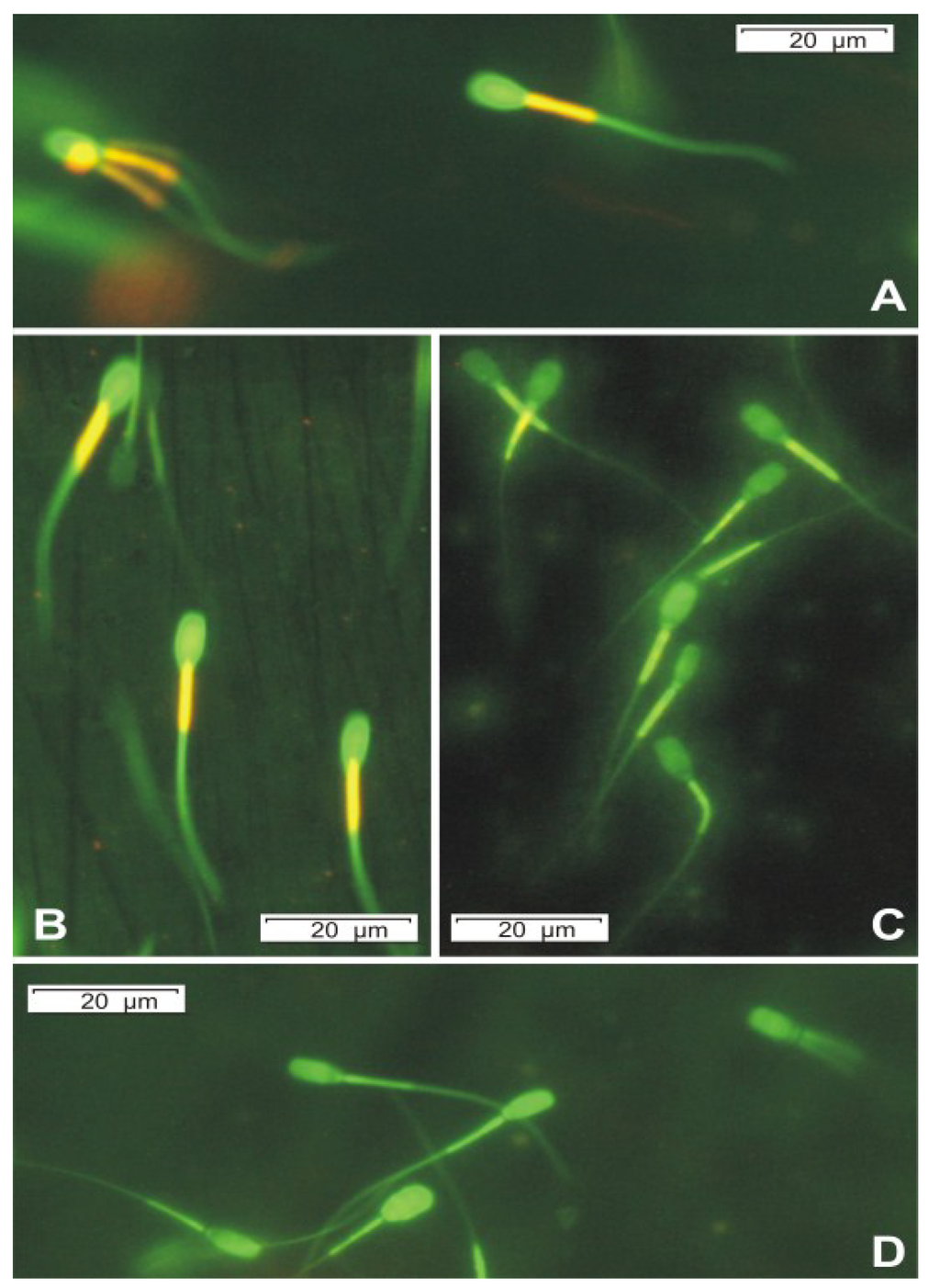 Toxins 06 02857 g003 1024