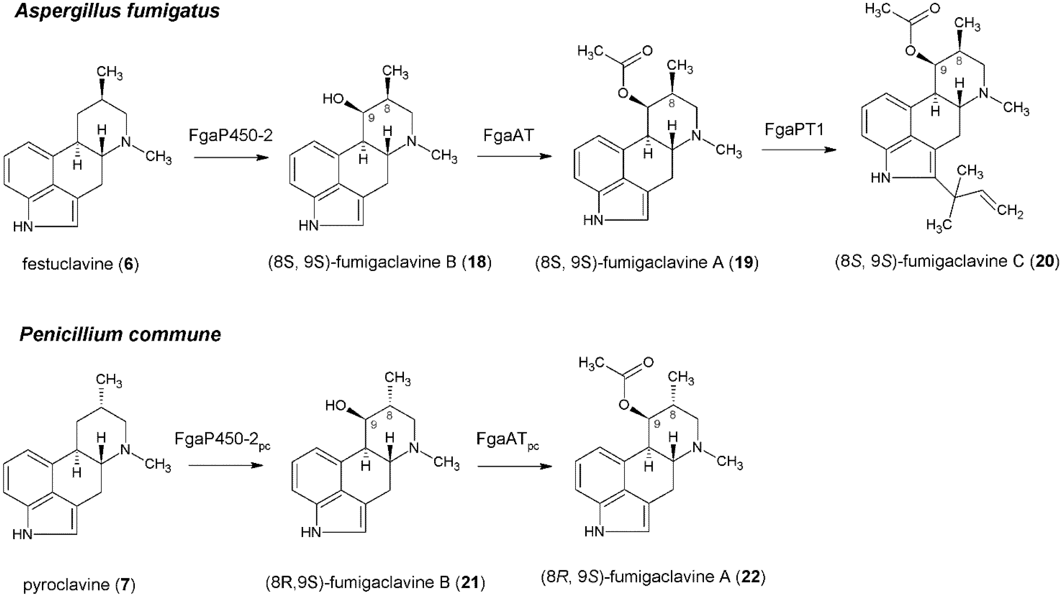 Toxins 06 03281 g004