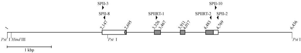 Toxins 06 03471 g001 1024