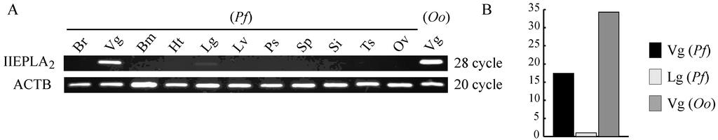 Toxins 06 03471 g004 1024