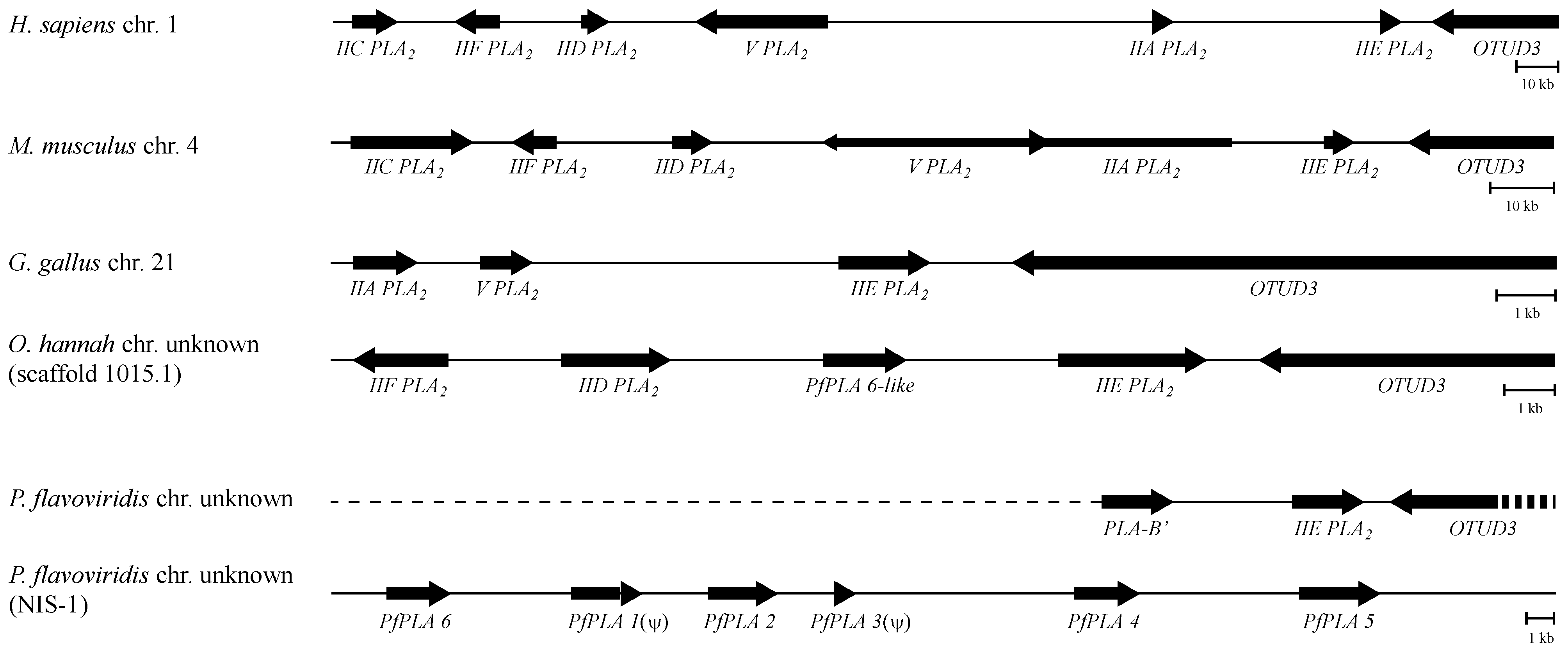 Toxins 06 03471 g005