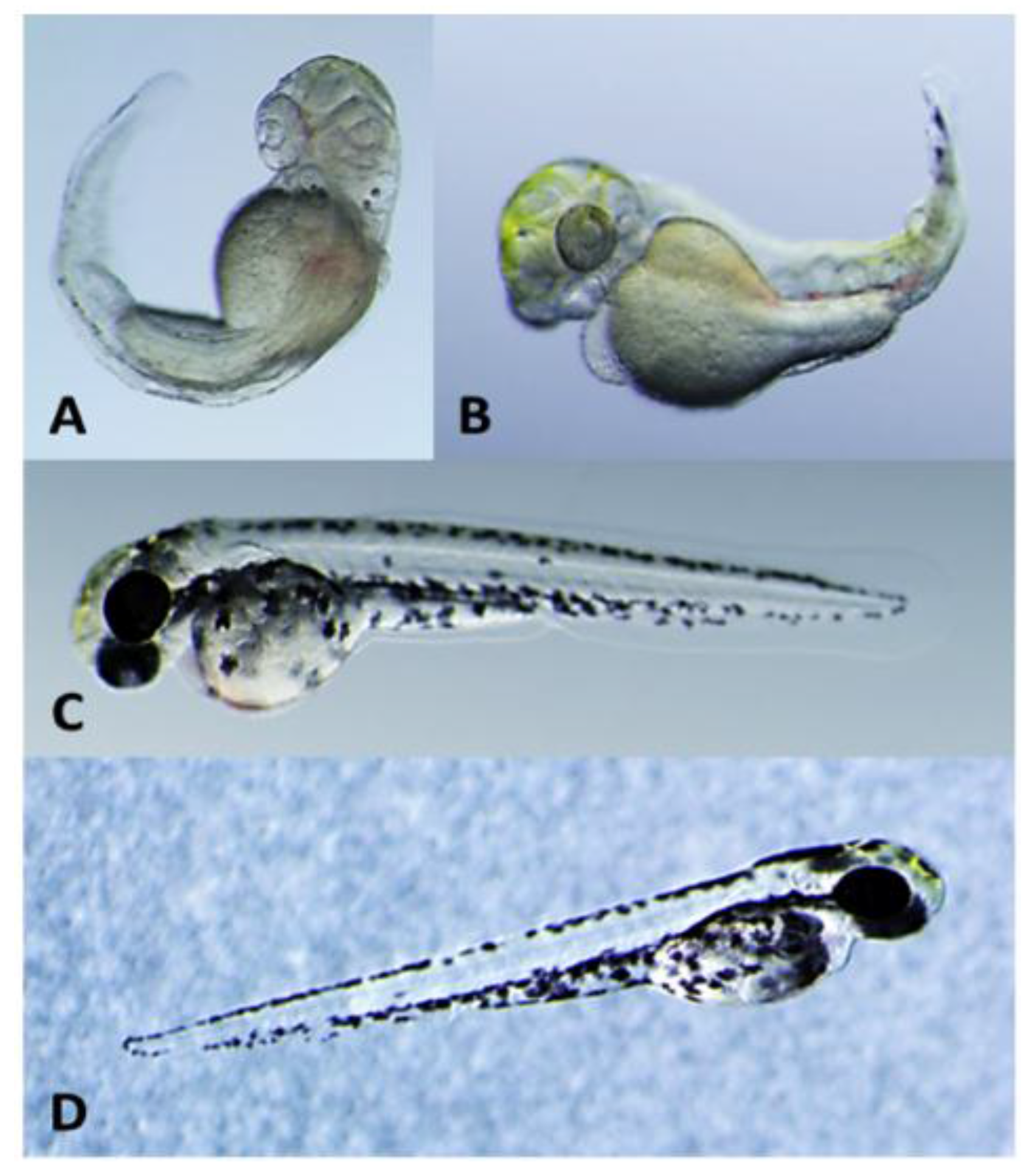 Toxins 06 03568 g001