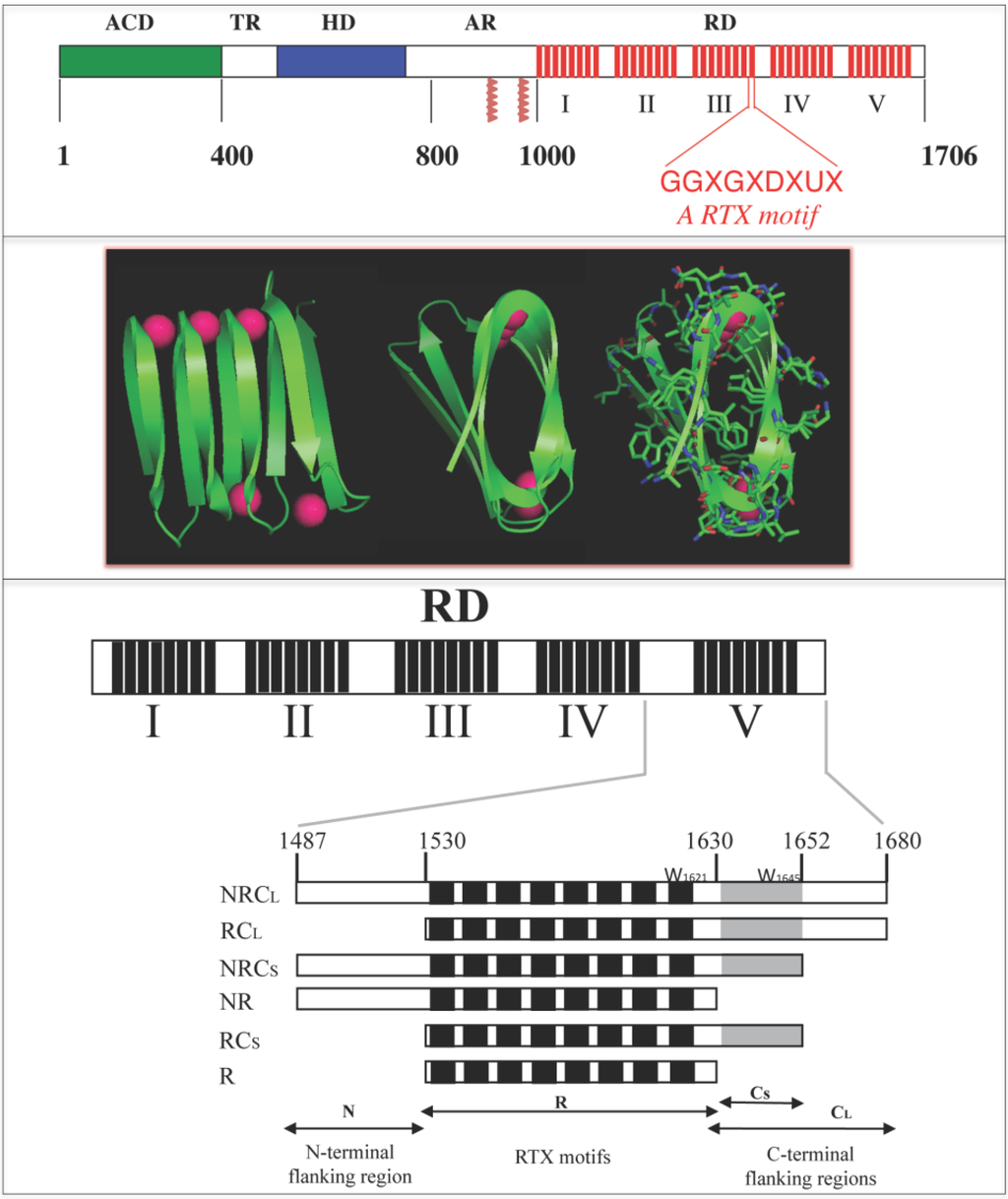 Toxins 07 00001 g001 1024