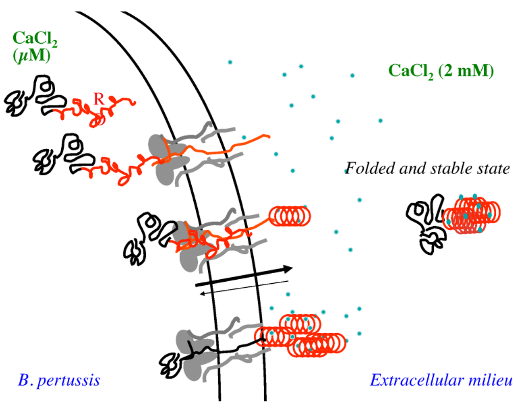 Toxins 07 00001 g005 1024
