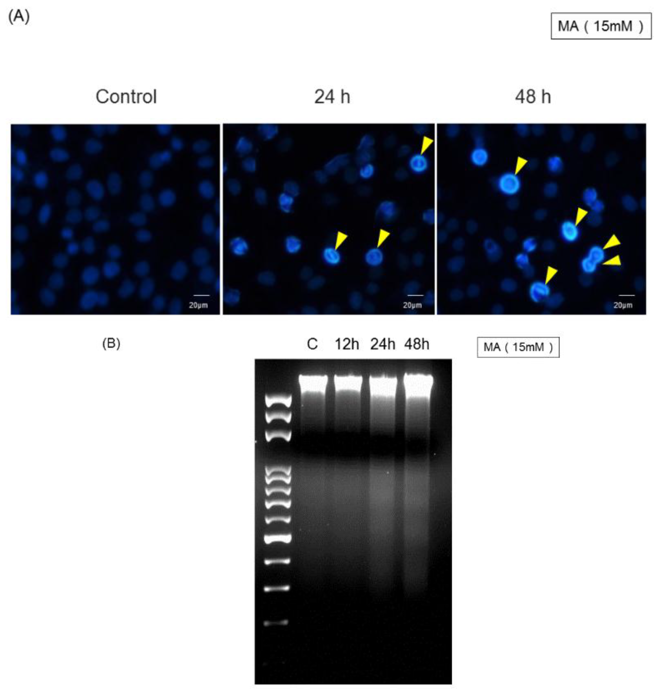 Toxins 07 00081 g003