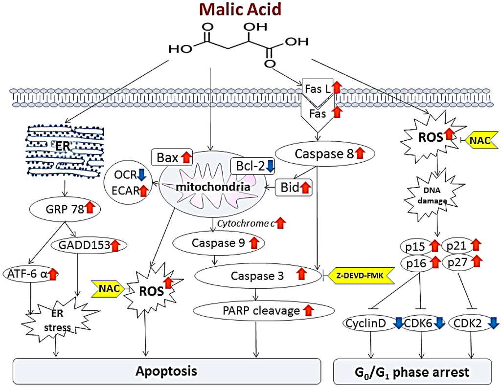 Toxins 07 00081 g007 1024