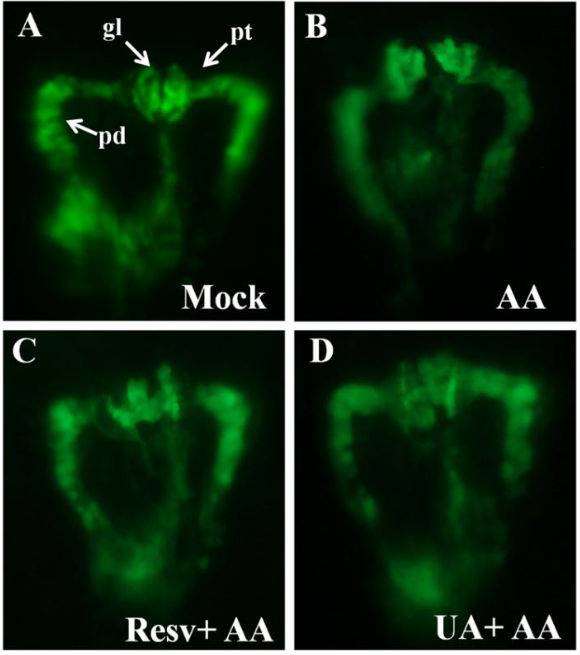 Toxins 07 00097 g002a