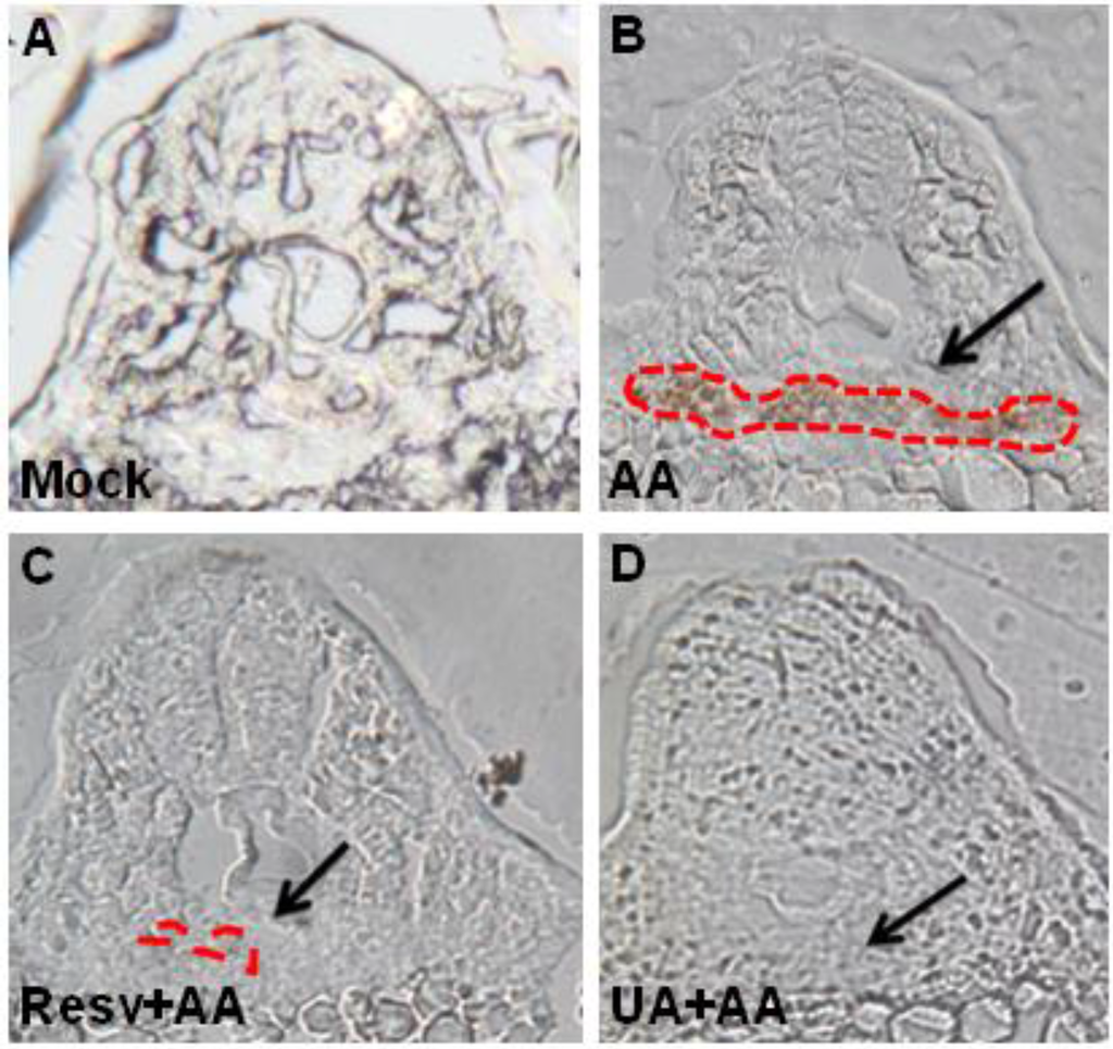 Toxins 07 00097 g005 1024