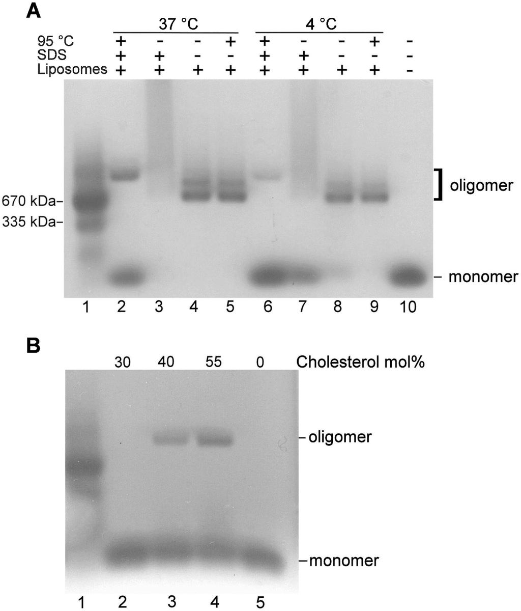 Toxins 07 00110 g005 1024