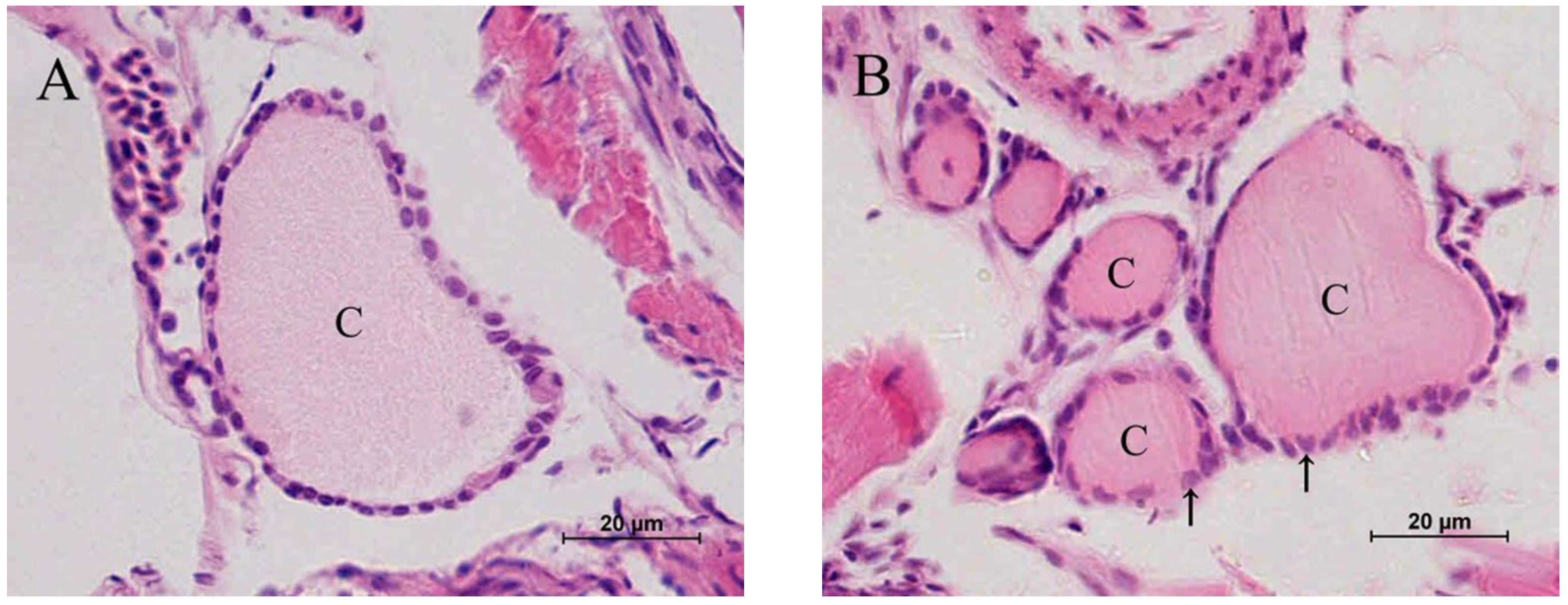 Toxins 07 00337 g002a