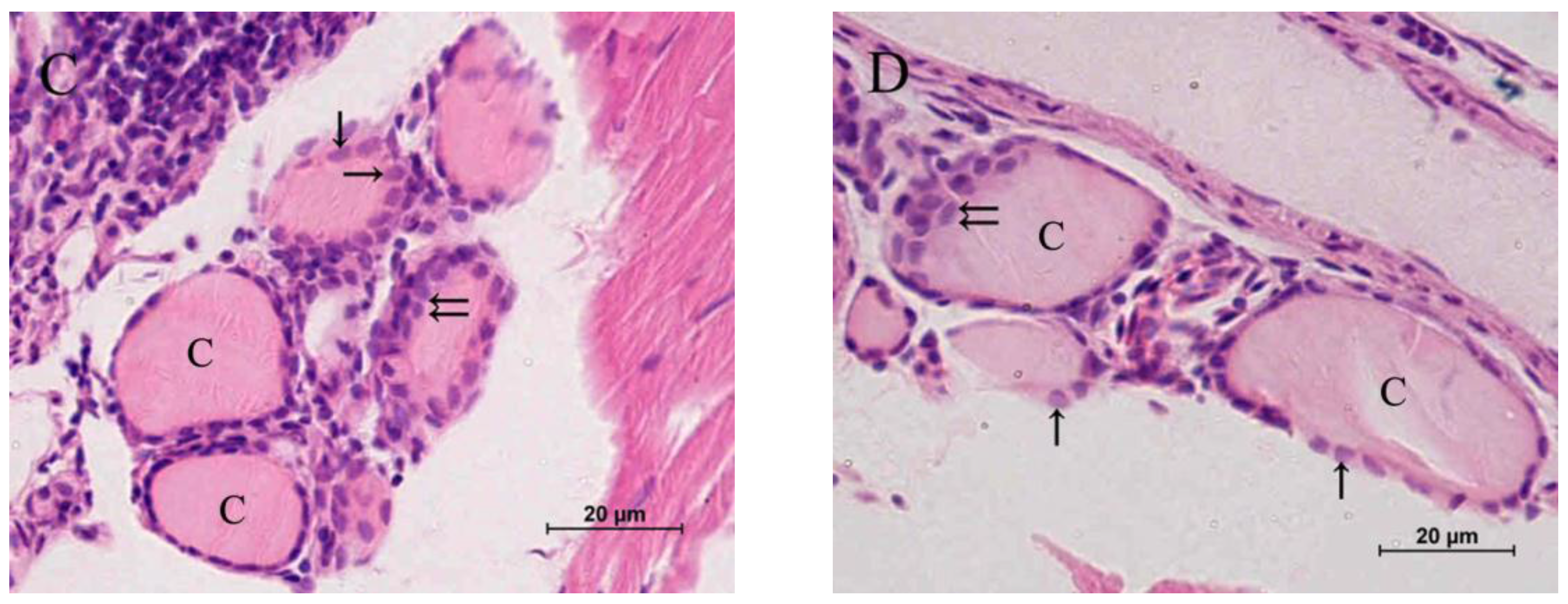 Toxins 07 00337 g002b