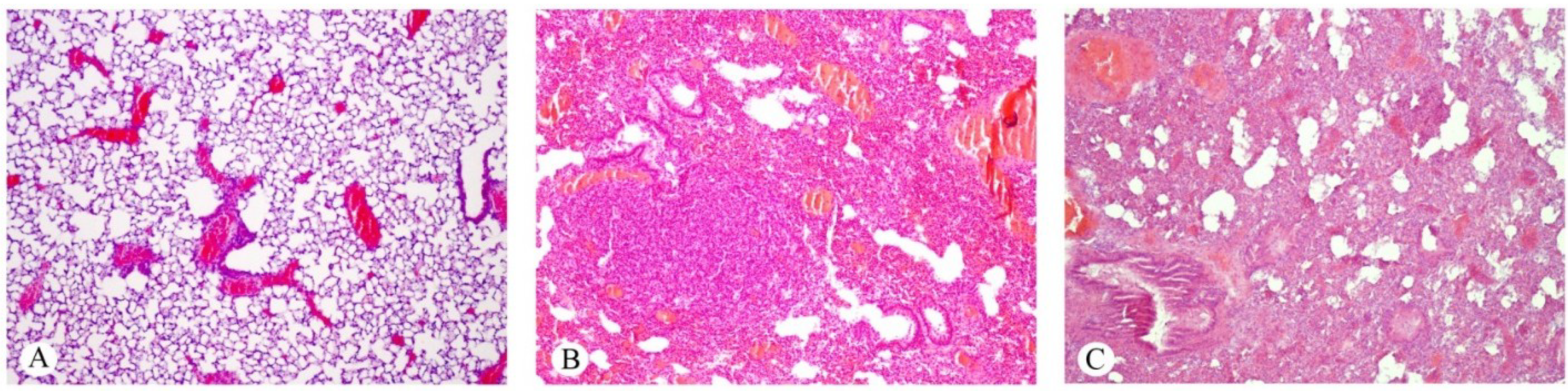 Toxins 07 00367 g004