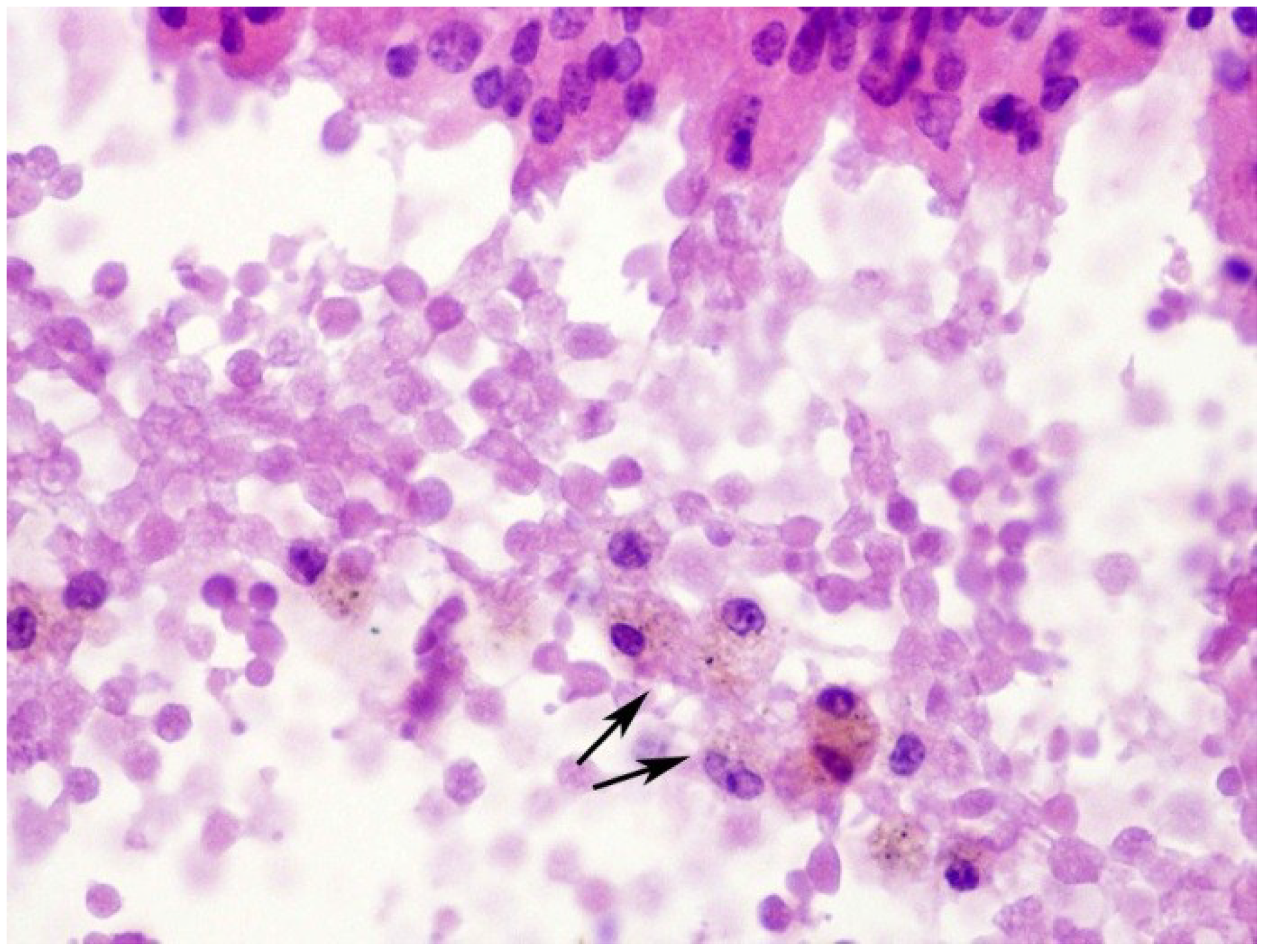 Toxins 07 00367 g005