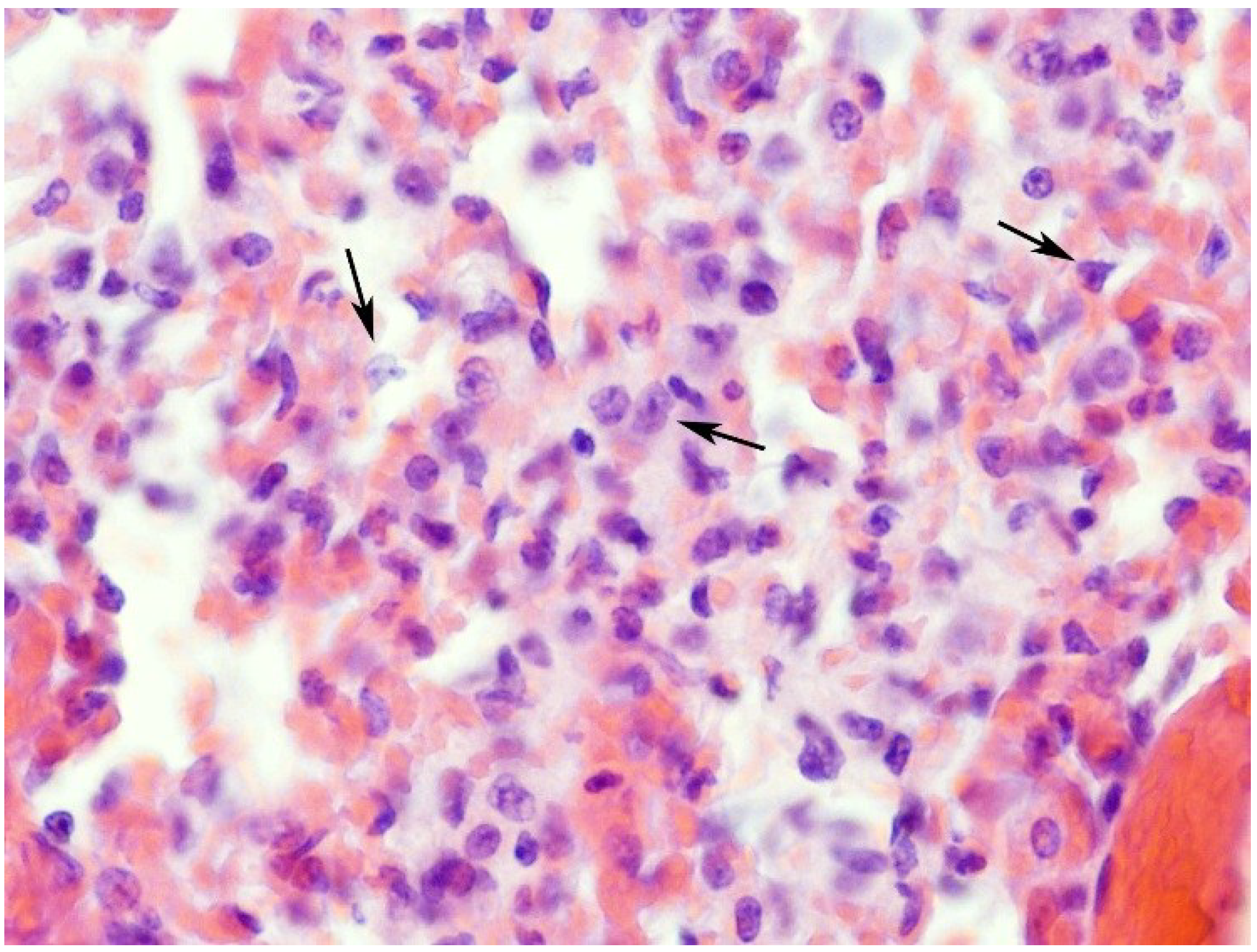 Toxins 07 00367 g006