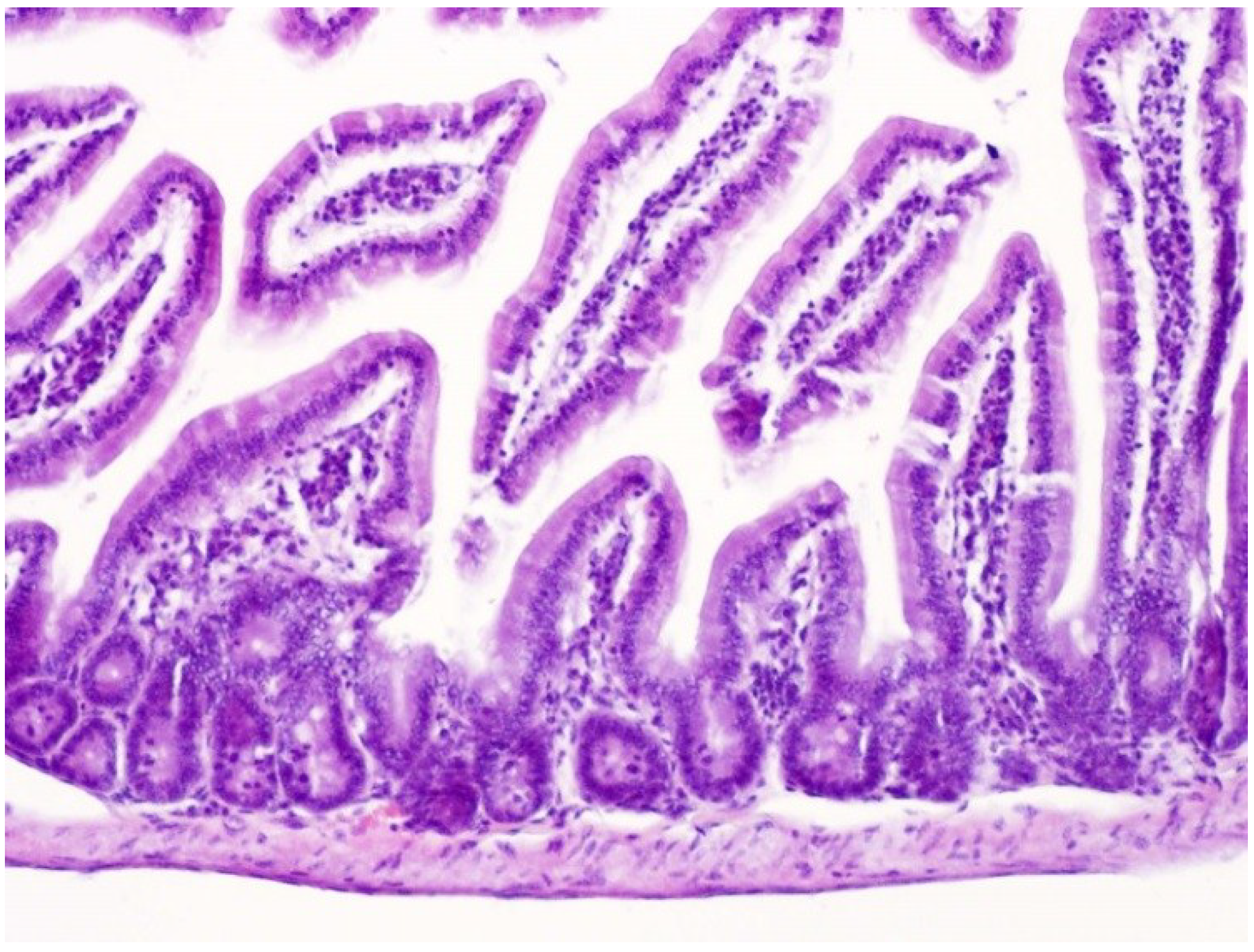 Toxins 07 00367 g007
