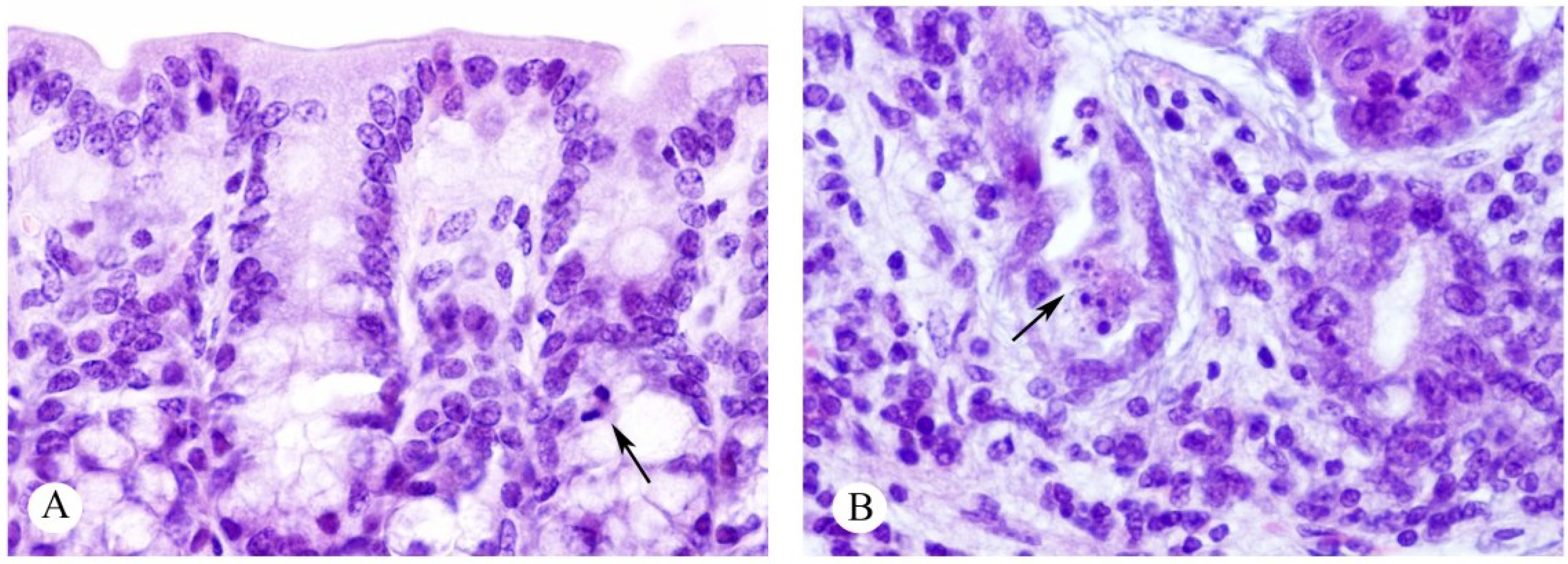 Toxins 07 00367 g008