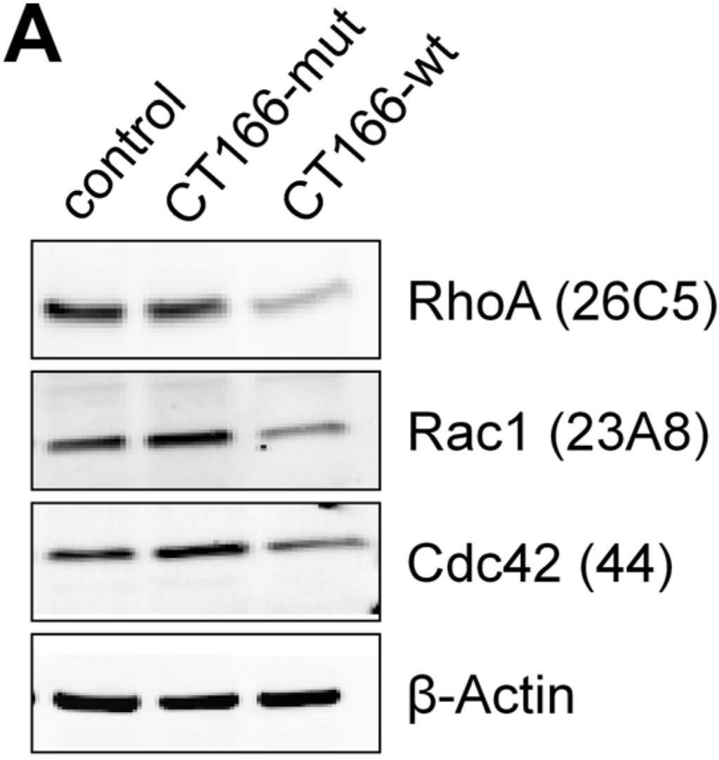 Toxins 07 00621 g005a 1024