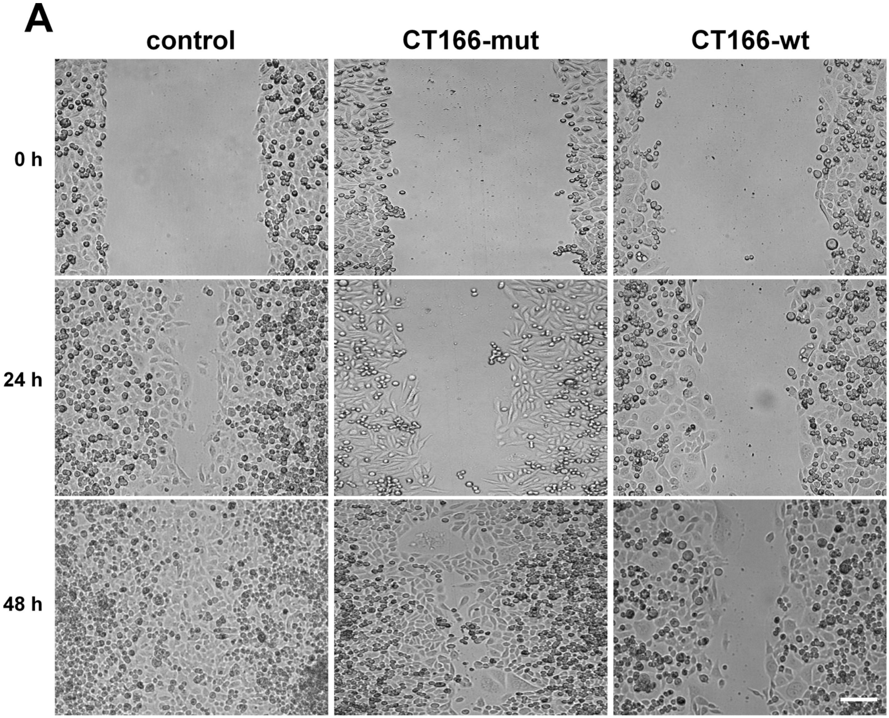 Toxins 07 00621 g006a