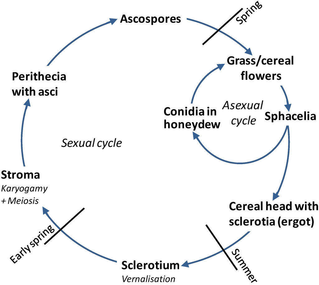 Toxins 07 00659 g001 1024