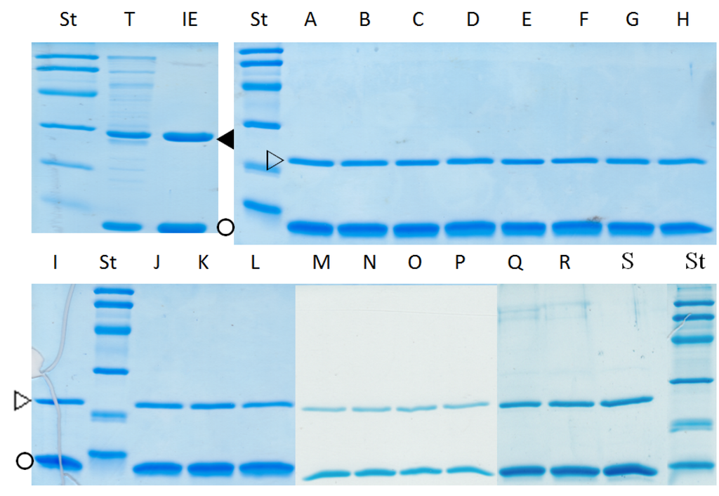 Toxins 07 00919 g002 1024