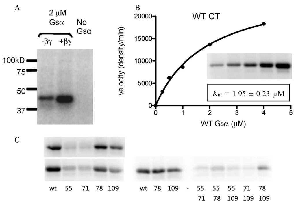 Toxins 07 00919 g003 1024
