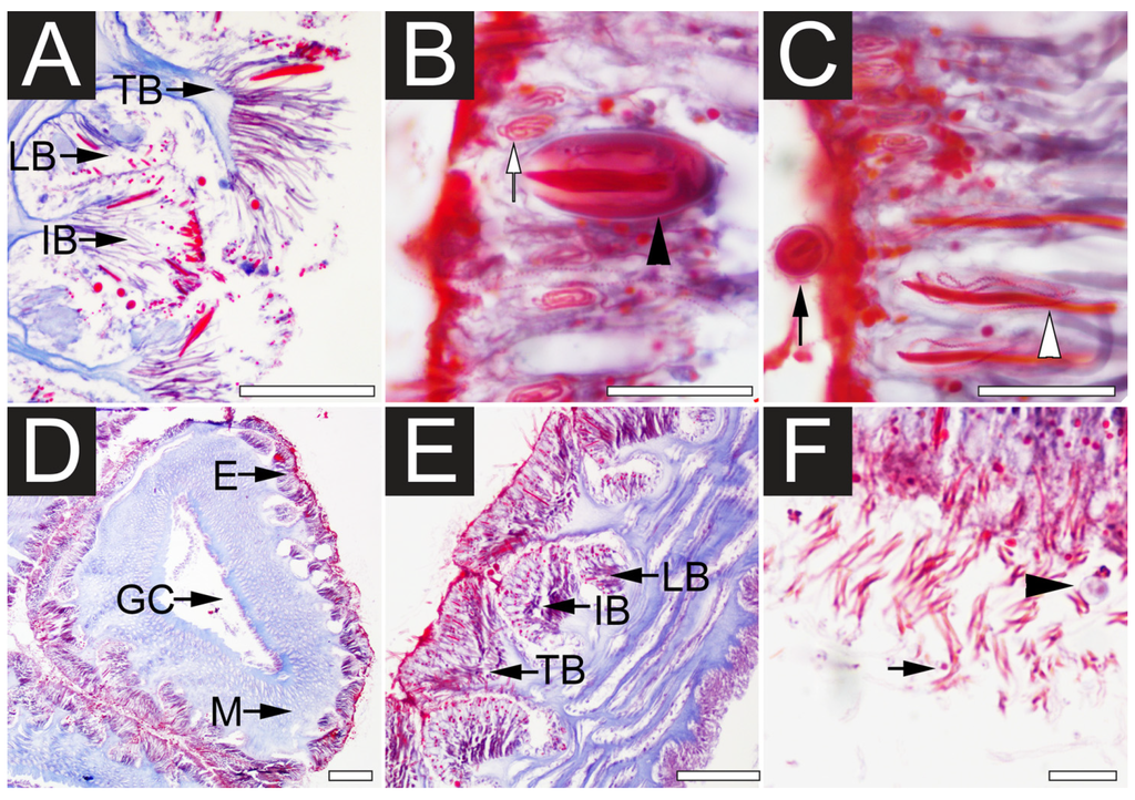 Toxins 07 00936 g002 1024