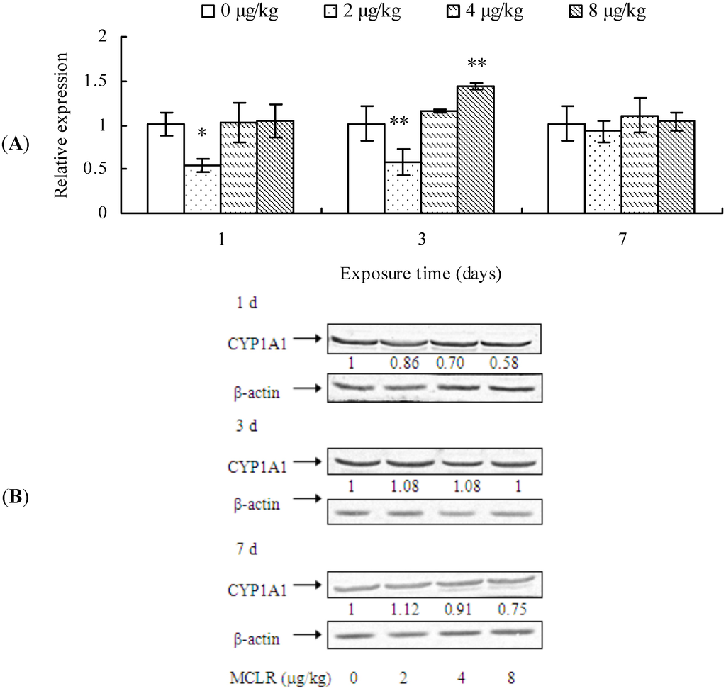 Toxins 07 01102 g001a 1024