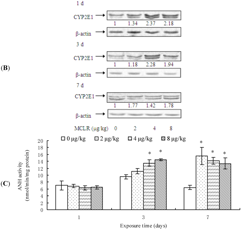 Toxins 07 01102 g002b 1024