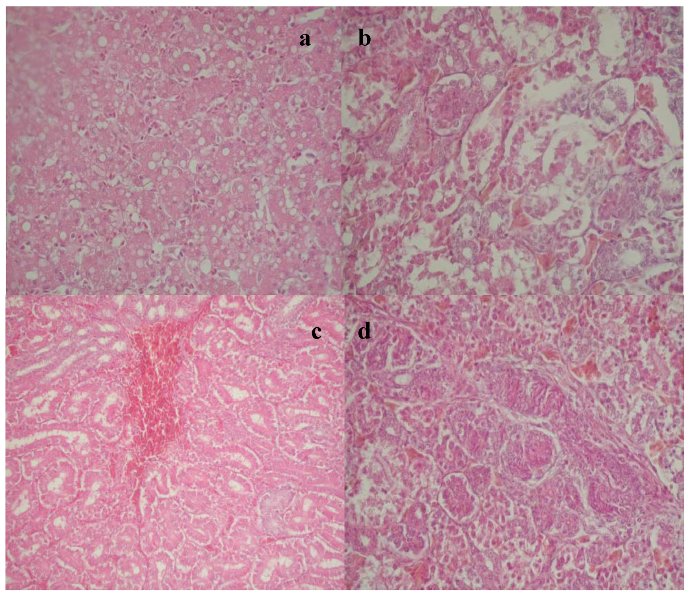 Toxins 07 01174 g001