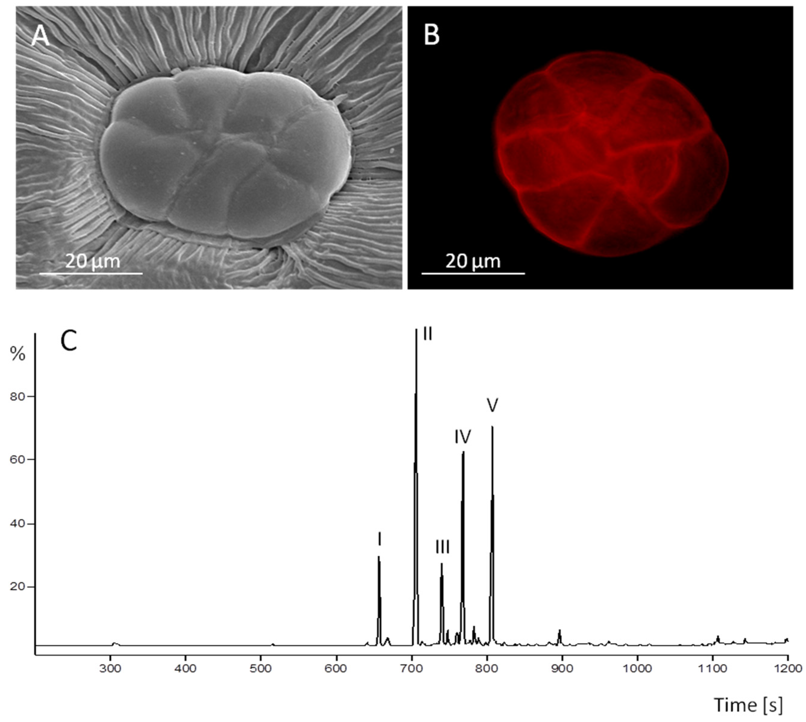 Toxins 07 01355 g001