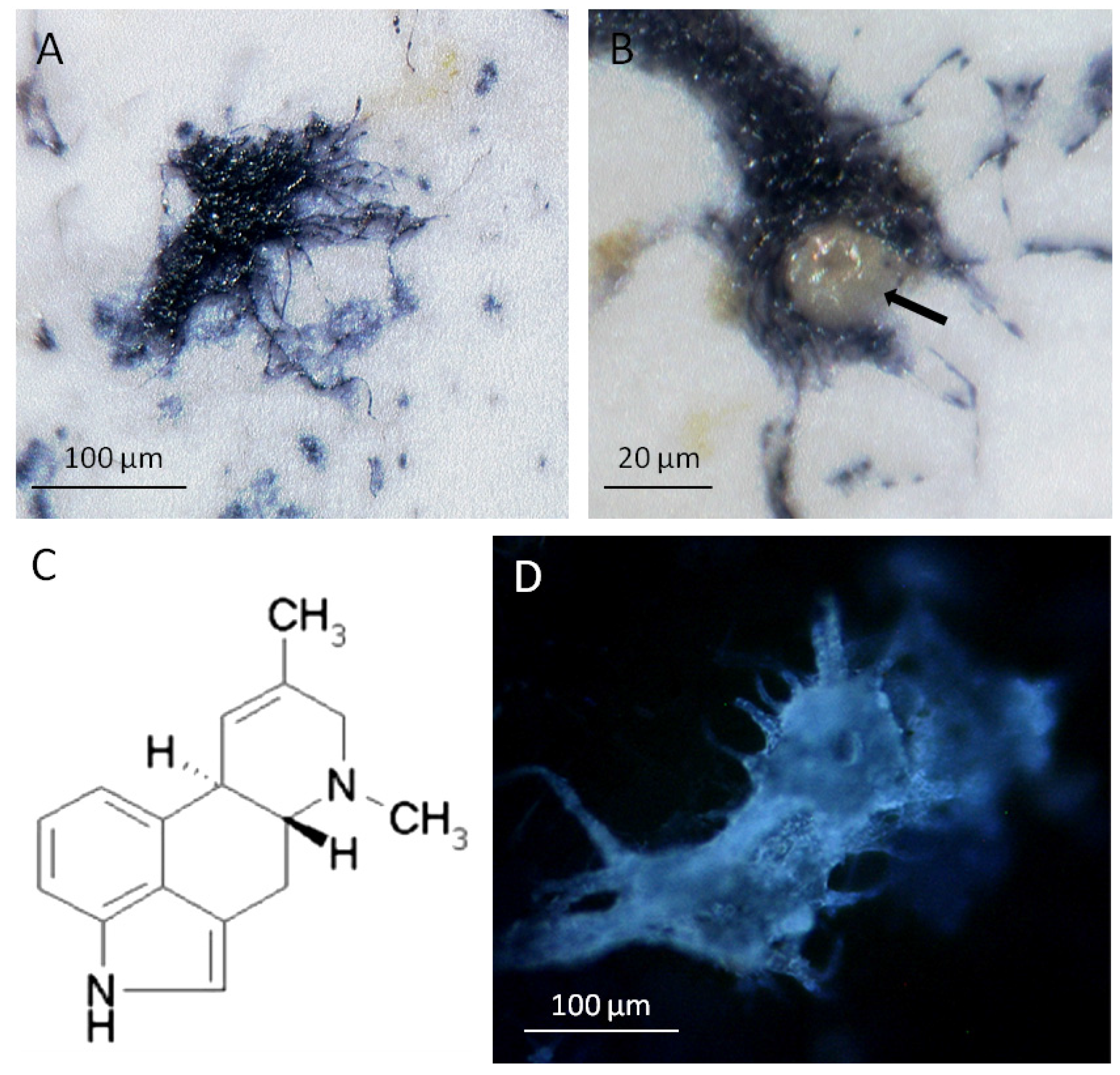 Toxins 07 01355 g002